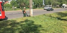 Фото новости: В Николаеве продолжаются работы по уборке улиц и покосу травы Свежие новости: В Николаеве продолжаются работы по уборке улиц и покосу травы