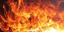 Свежие новости: В Николаеве горел  парк