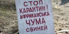Свежие новости: Сельский совет Коблево обеспокоен АЧС и просит жителей Громады быть бдительными