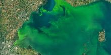 Свежие новости: В Одесі вода в морі почала світитися яскраво-блакитним кольором