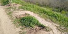 Свежие новости: В Одессе срезали скамейки и утащили во двор жилого дома