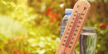 Свежие новости: Україну прогріє до 31°, подекуди дощі і грози