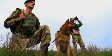 Свежие новости: Пограничники задержали мигрантов из пяти стран
