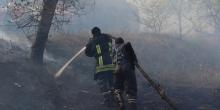 Свежие новости: Полтавскую область охватил сильнейший пожар: людей эвакуируют из зоны опасности