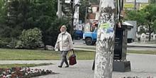 Свежие новости: В центре Николаева женщина украла цветы с клумбы – никто из прохожих ей не помешал
