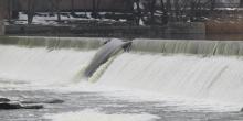 Фото новости: На плотине Первомайской ГЭС образовалась брешь: уровень воды поднялся Свежие новости: На плотине Первомайской ГЭС образовалась брешь: уровень воды поднялся