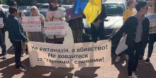 Свежие новости: В Николаеве возле Николаевской мэрии прошла акция против убийства бездомных животных