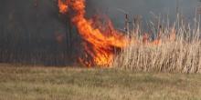 Свежие новости: В Снигиревке и в Первомайске из-за поджога горел камыш