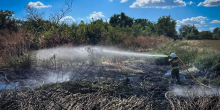 Свежие новости: 38 пожеж і 27 гектарів за добу: на Миколаївщині горіли гараж, автівка і сухостій