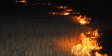 Свежие новости: В Николаеве ночью возле аэропорта произошел пожар