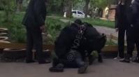 Фото новости: В Одессе пьяные мужчины напали на ребенка на детской площадке Свежие новости: В Одессе пьяные мужчины напали на ребенка на детской площадке