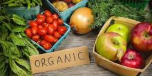 Свежие новости: В Украине изменят маркировку органической продукции
