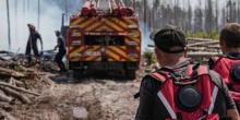 Свежие новости: Понад 200 рятувальників гасили масштабну лісову пожежу Чорнобильської зони