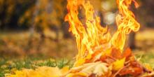 Свежие новости: В Николаеве произошел пожар на открытой территории: горел мусор и сухие листья