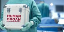 Свежие новости: Рада разрешила проводить трансплантацию органов умерших