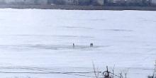 Свежие новости: В Николаеве трое детей, которые гуляли на льду, прятались от спасателей