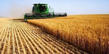 Свежие новости: Украина усиливает контроль аграрного рынка