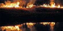 Фото новости: Под Одессой из-за халатности туриста сгорело около гектара заповедника Свежие новости: Под Одессой из-за халатности туриста сгорело около гектара заповедника