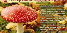 Свежие новости: Рятувальники застерігають: будьте обережними під час збору та вживання дикорослих грибів