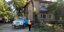 Свежие новости: ВИДЕО: У Новому Бузі продовжується прибирання аварійних дерев