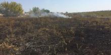 Свежие новости: За добу на Миколаївщині зареєстровано 17 пожеж сухої трави та сміття на відкритих територіях