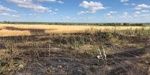 Свежие новости: В Вознесенском районе горят поля с урожаем