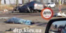 Свежие новости: Под Киевом Volkswagen влетел под грузовик, погиб водитель