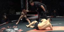 Фото новости: ВИДЕО: На турнире MMA соперники одновременно нокаутировали друг друга Свежие новости: ВИДЕО: На турнире MMA соперники одновременно нокаутировали друг друга