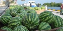 Свежие новости: Українці залишаться без херсонських кавунів через підрив Каховської ГЕС, — ЗМІ
