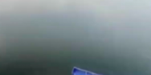 Свежие новости: Николаевские подростки выложили в сеть видео, на котором они бросают в бак с мусором