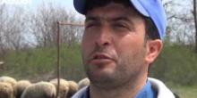 Свежие новости: ВИДЕО: В Азербайджане поющий пастух взорвал соцсети
