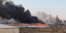 Свежие новости: На Кинбурнской косе масштабно горят леса