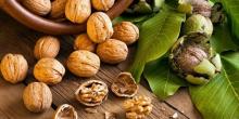 Свежие новости: Украина вышла на 6-е место в мире по объемам производства грецких орехов