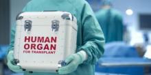 Свежие новости: Верховная Рада отложила новый закон о трансплантации до 2020 года