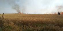 Свежие новости: Под Очаковом выгорело более 4 гектар пшеницы