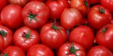 Свежие новости: В Украине обвалились цены на помидоры