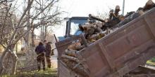 Свежие новости: Безкоштовні дрова для Вознесенщини. Як отримати паливну деревину
