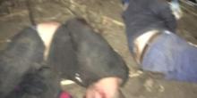 Фото новости: Сегодня ночью фермеры Вознесенского района задержали банду поджигателей 18+ (обновлено) Свежие новости: Сегодня ночью фермеры Вознесенского района задержали банду поджигателей 18+ (обновлено)