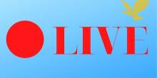 Свежие новости: Пряма трансляція чергової 14-ї сесії Вознесенської міської ради