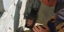Фото новости: ФОТО: В Первомайске маленький мальчик застрял головой в ловушке Свежие новости: ФОТО: В Первомайске маленький мальчик застрял головой в ловушке