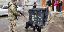 Свежие новости: У Миколаєві поліція оголосила винагороду за інформацію про немовля, знайдене у сміттєвому контейнері