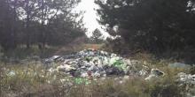 Свежие новости: Отдыхающие в Коблево возмущены свалками мусора в некогда красивом сосновом бору