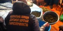 Свежие новости: Поліція вилучила у мешканки Миколаївщини декілька пакетів канабісу