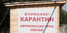 Свежие новости: На Николаевщине зафиксировали новые случаи африканской чумы свиней