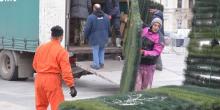 Фото новости: В Николаеве на Соборной площади устанавливают елку Свежие новости: В Николаеве на Соборной площади устанавливают елку