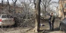Свежие новости: В центре Одессы на девушку упало дерево: пострадавшая погибла