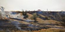 Свежие новости: На Миколаївщині підпалили ліс