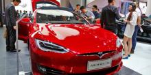 Свежие новости: В автомобилях Tesla появился режим для собак