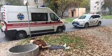 Свежие новости: В Николаеве у детского сада найден труп