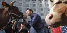 Фото новости: Ляшко подготовили  Свежие новости: Ляшко подготовили